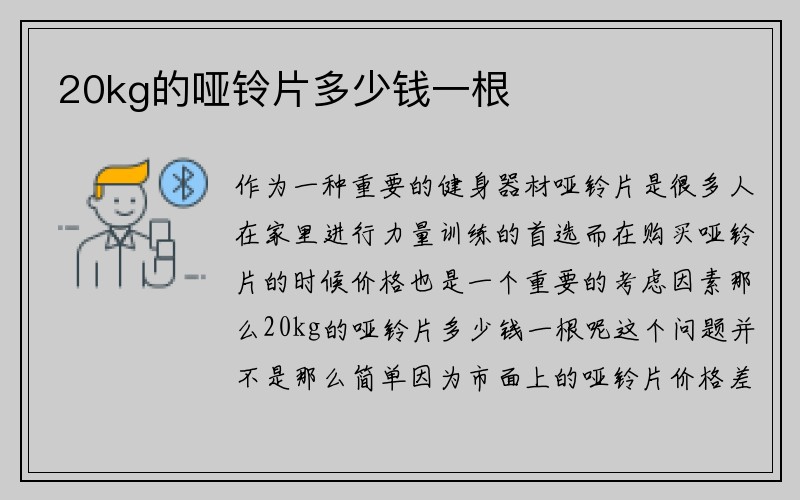 20kg的哑铃片多少钱一根