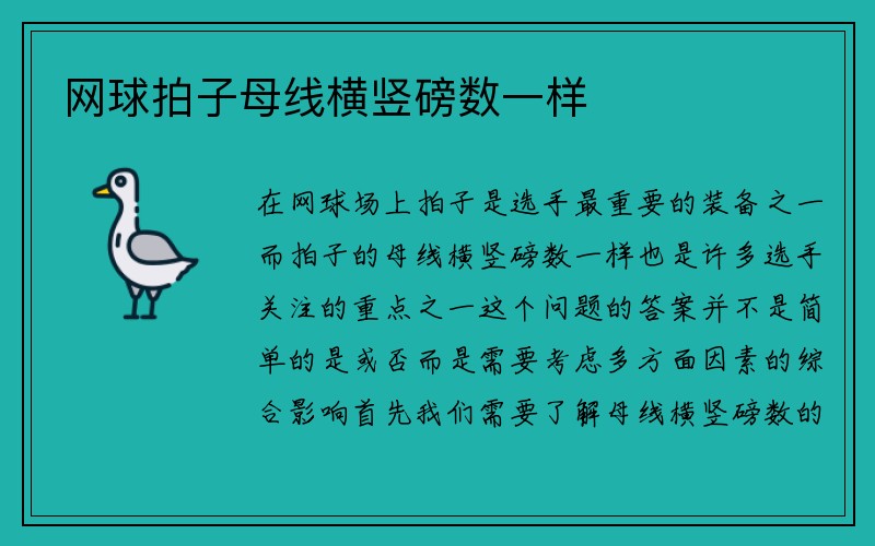 网球拍子母线横竖磅数一样