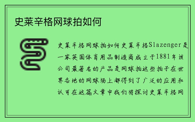 史莱辛格网球拍如何