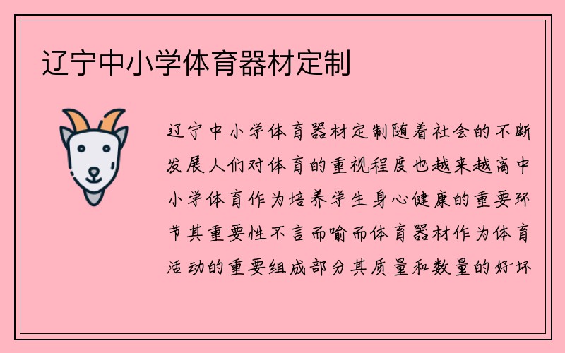 辽宁中小学体育器材定制